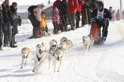 Lenk 2012 SM